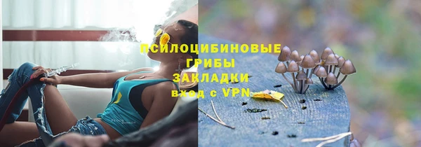 mdpv Алзамай