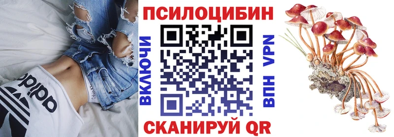 купить наркотик  Мамоново  Галлюциногенные грибы GOLDEN TEACHER 